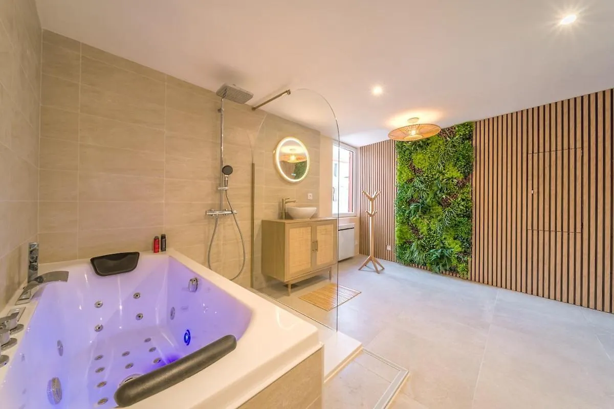 Bali Room Apartment Et Spa Chambéry