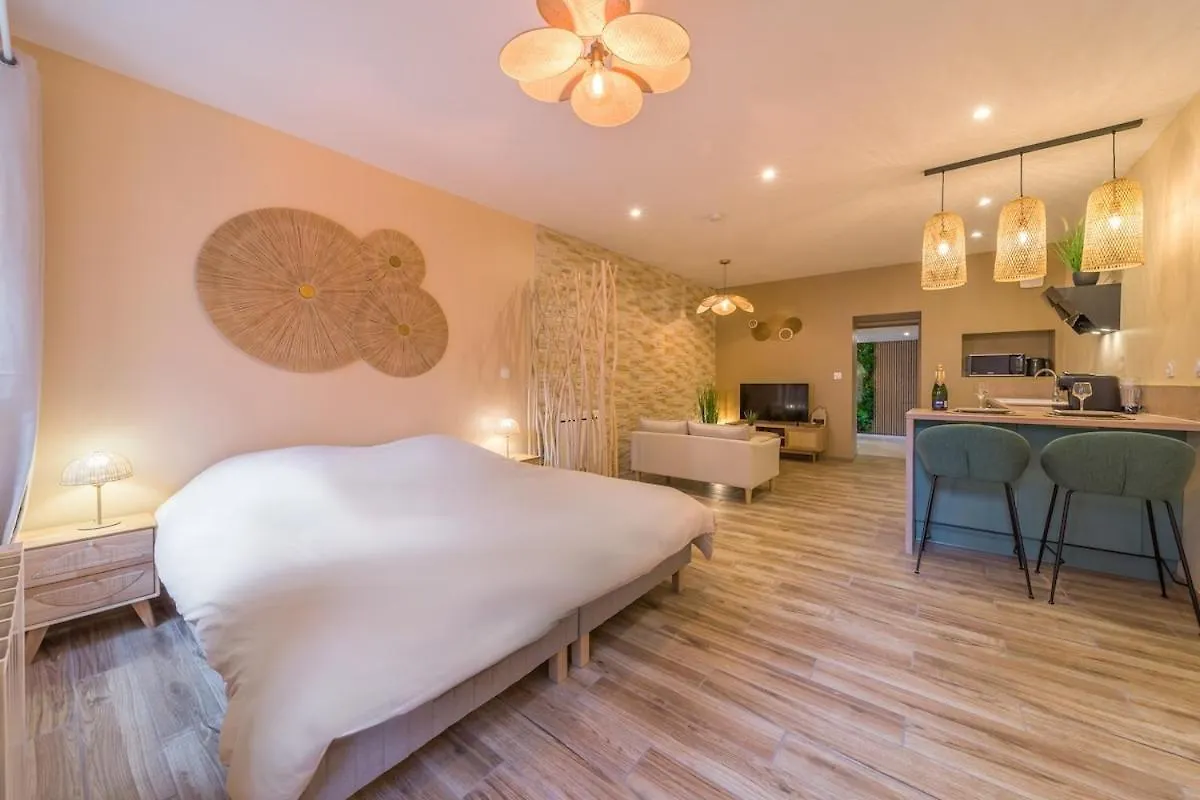 Bali Room Apartment Et Spa Chambéry