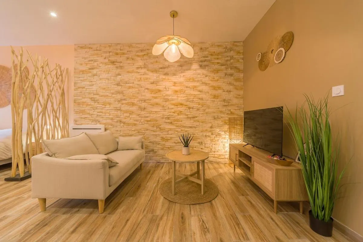 Bali Room Apartment Et Spa Chambéry